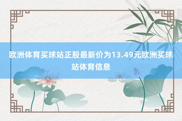 歐洲體育買球站正股最新價為13.49元歐洲買球站體育信息