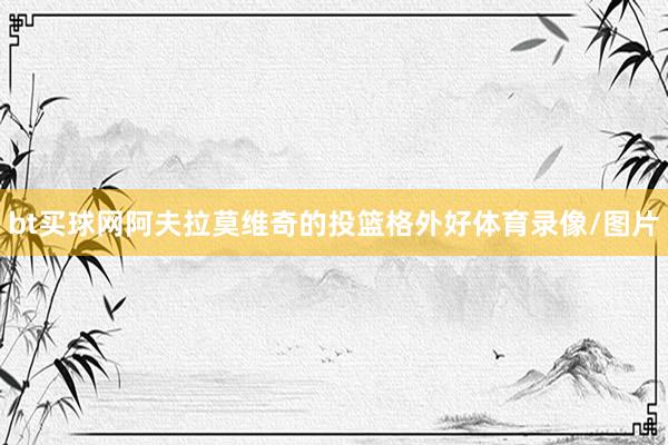 bt買球網阿夫拉莫維奇的投籃格外好體育錄像/圖片