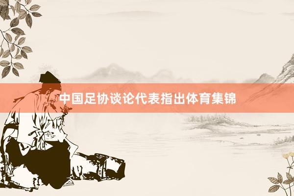 中國足協談論代表指出體育集錦