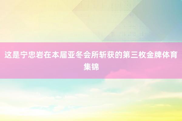 這是寧忠?guī)r在本屆亞冬會所斬獲的第三枚金牌體育集錦